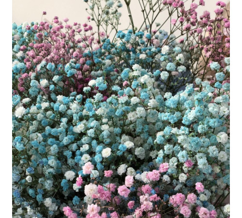 Букет из розовой и голубой гипсофилы