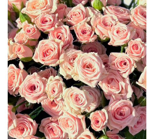 Кустовая роза Лидия 19 шт