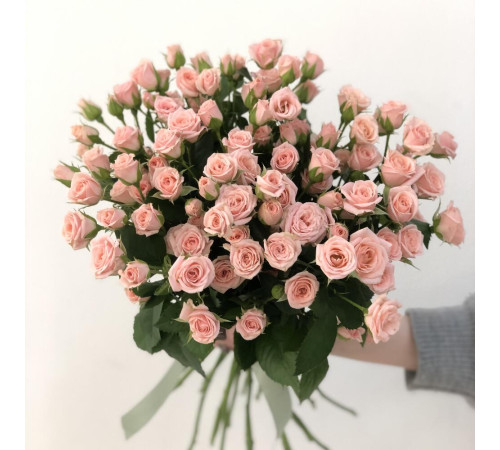 Кустовая роза Лидия 21 шт