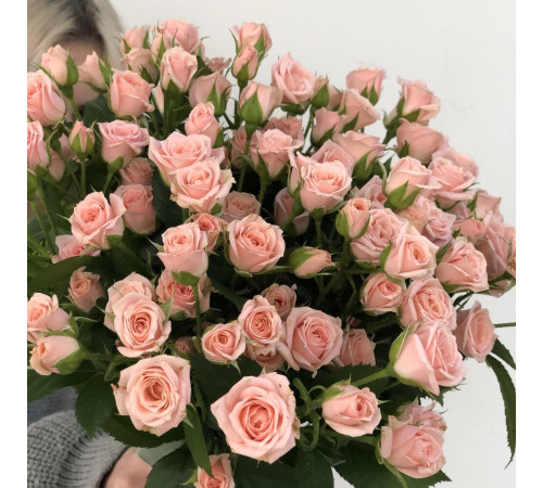 Кустовая роза Лидия 21 шт