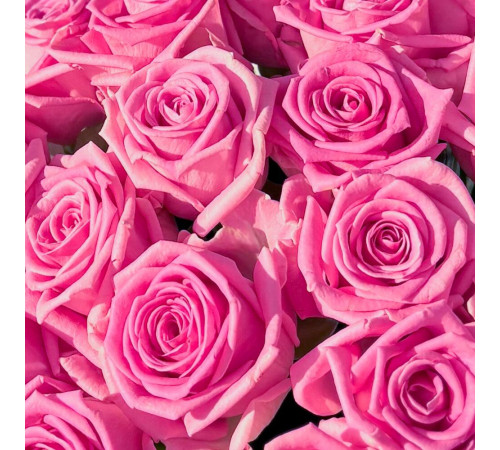 Розовая Роза 19 шт