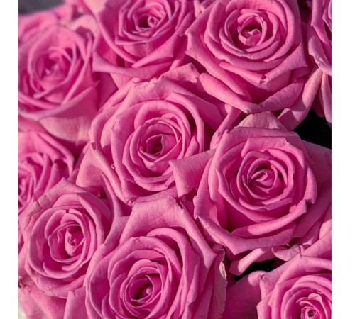 Розовая Роза 31 шт