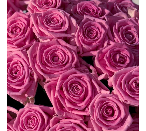 Розовая Роза 51 шт